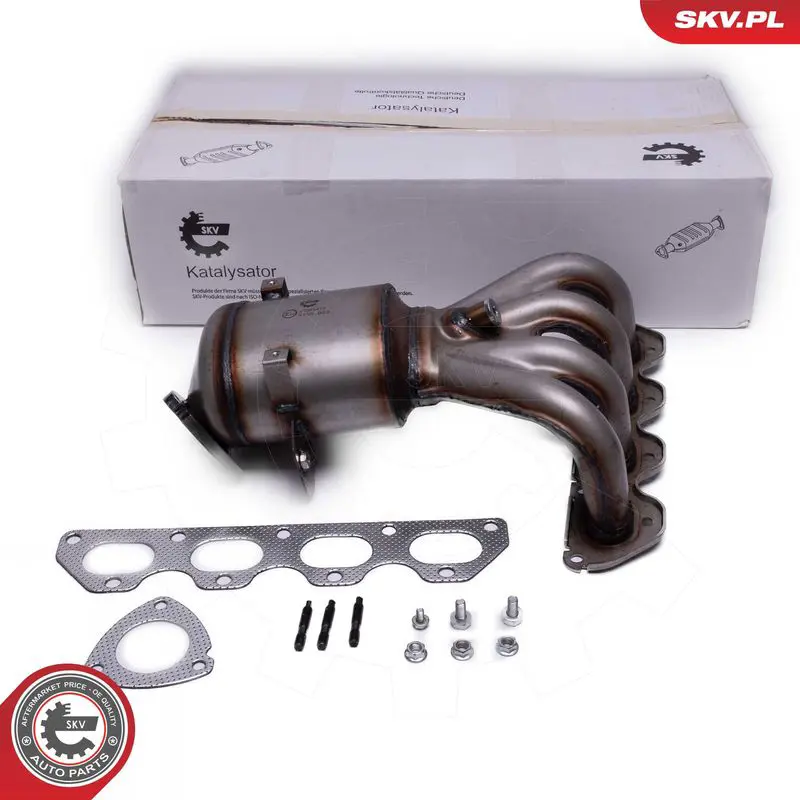 62SKV017 Катализатор, универсальный