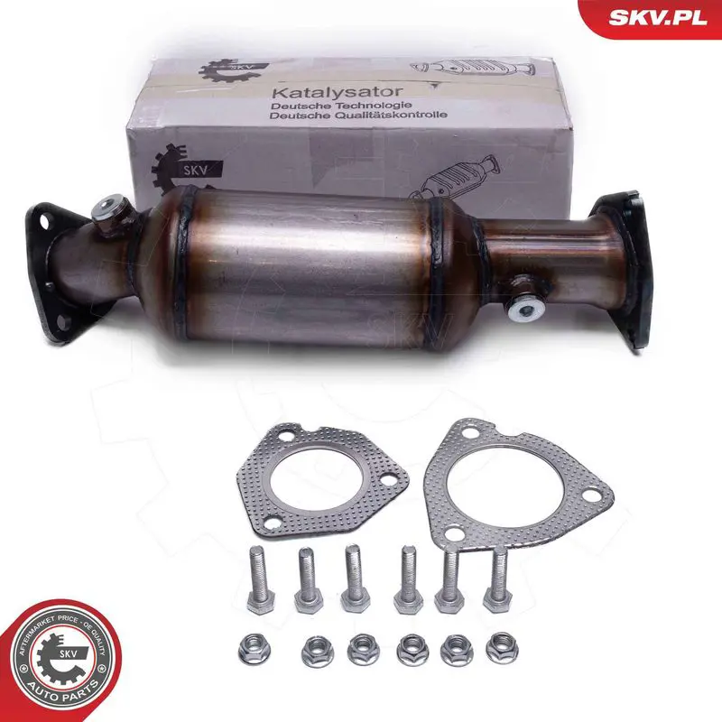 62SKV019 Катализатор, универсальный