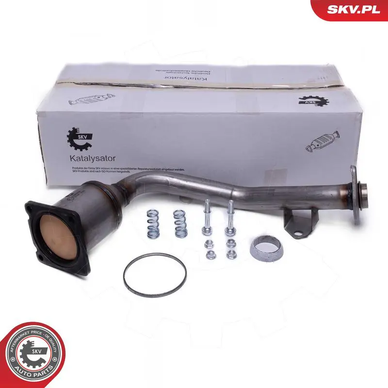 ESEN SKV 62SKV022 Катализатор