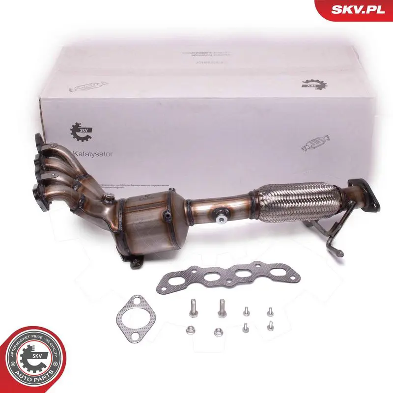 ESEN SKV 62SKV027 Катализатор