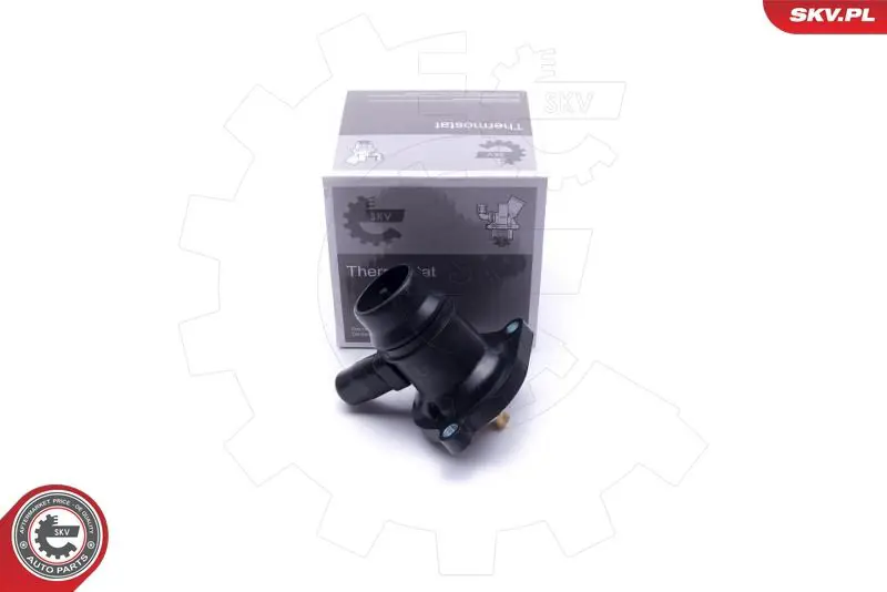 ESEN SKV 20SKV133 Термостат, охлаждающая