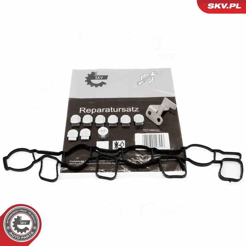 ESEN SKV 49SKV511 Ремкомплект, модуль впускного
