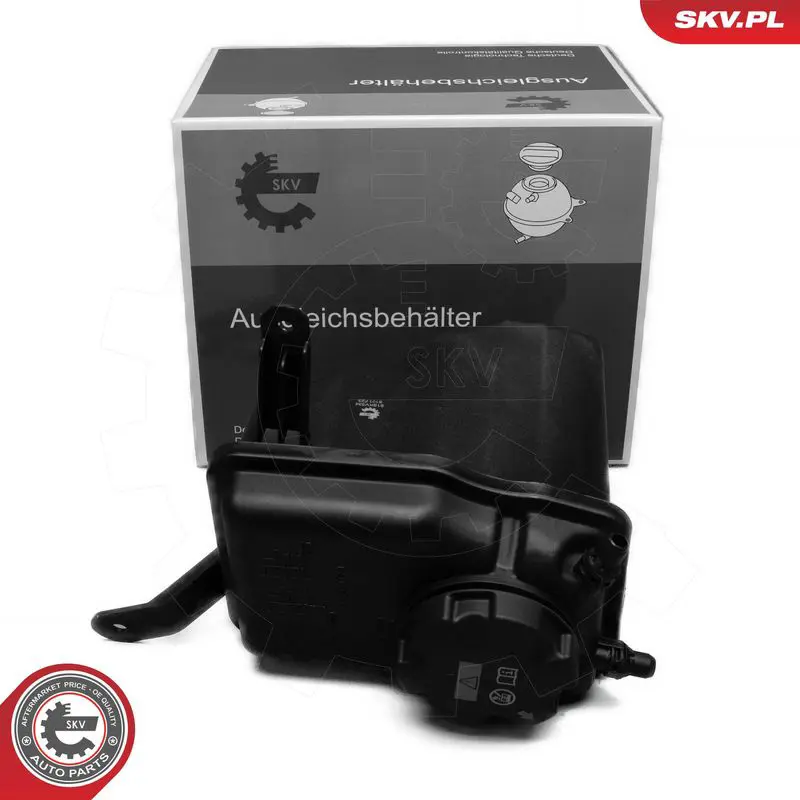 ESEN SKV 61SKV333 Компенсационный бак,