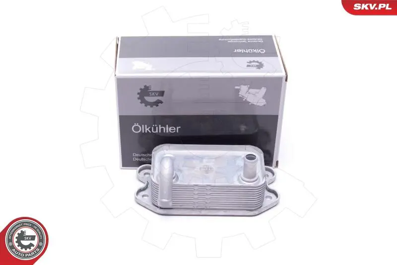 ESEN SKV 31SKV227 Volvo C70 I S60 I S70 S80 I