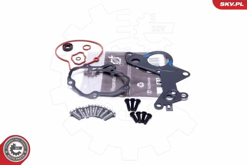 ESEN SKV 18SKV801 Ремкомплект, вакуумный насос