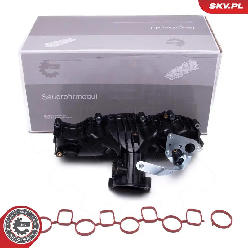 ESEN SKV 49SKV077 Модуль впускной трубы