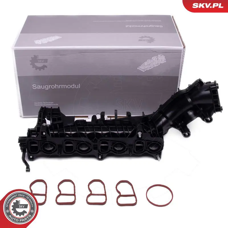 49SKV082 Модуль впускной трубы