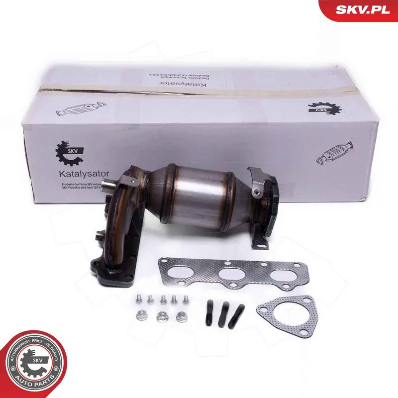 ESEN SKV 62SKV026 Катализатор