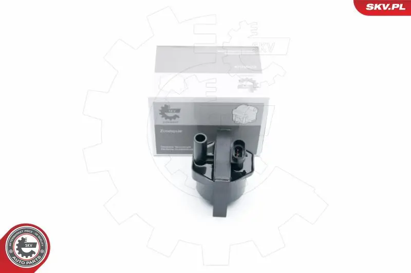 03SKV253 Катушка зажигания