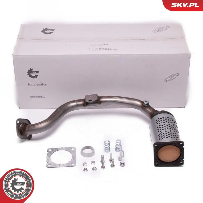 ESEN SKV 62SKV015 Катализатор