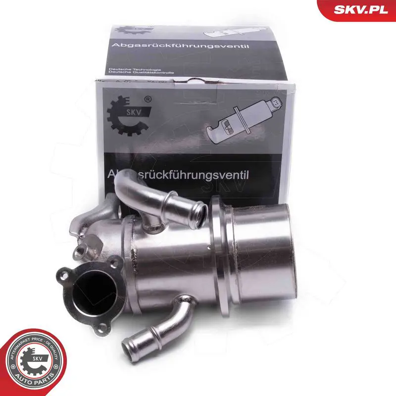 ESEN SKV 14SKV243 Клапан возврата ОГ