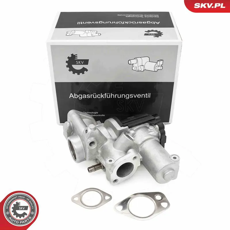 ESEN SKV 14SKV253 Клапан возврата ОГ