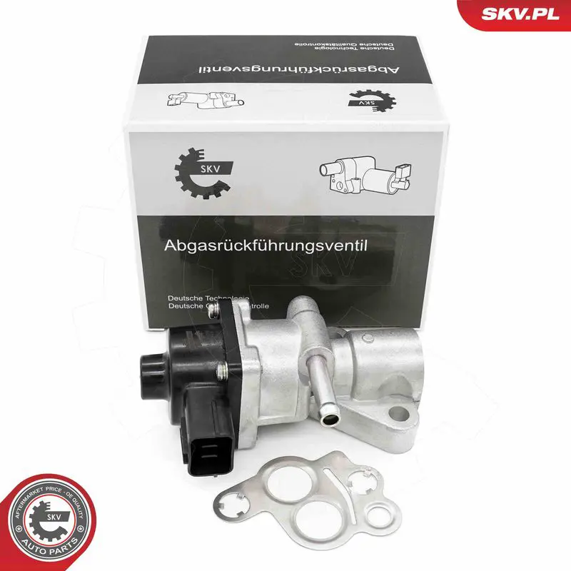 ESEN SKV 14SKV282 Клапан возврата ОГ