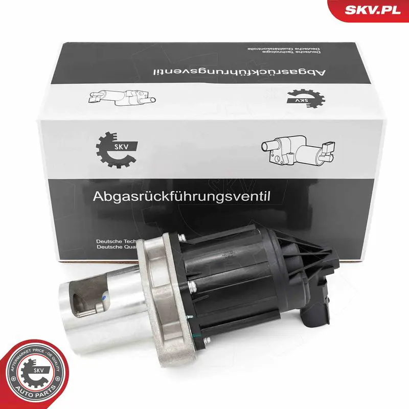 ESEN SKV 14SKV284 Клапан возврата ОГ
