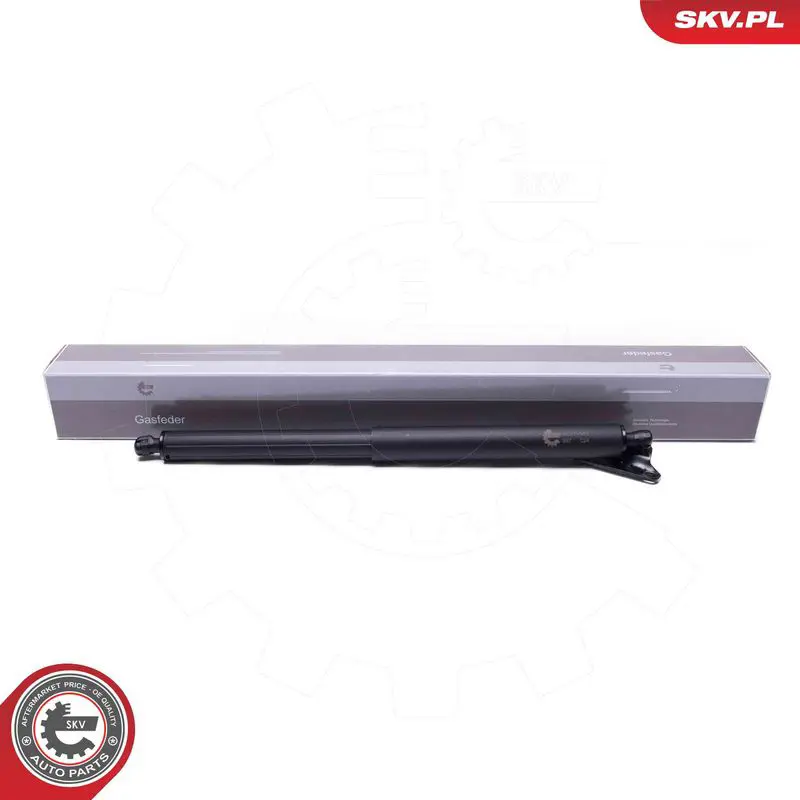 ESEN SKV 52SKV963 Электромотор, задняя дверь