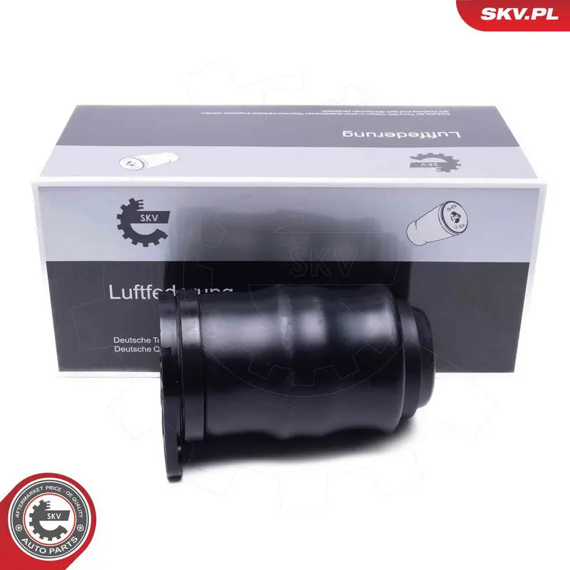 ESEN SKV 58SKV092 Пневматическая рессора,