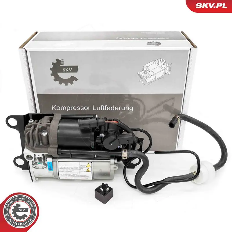 ESEN SKV 58SKV533 Компрессор, пневматическая