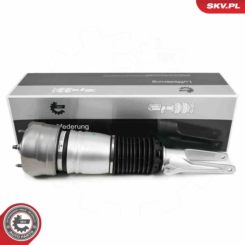 ESEN SKV 58SKV706 Опора пневматической рессоры