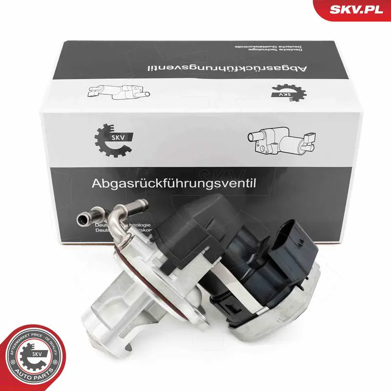 14SKV255 EGR Valve