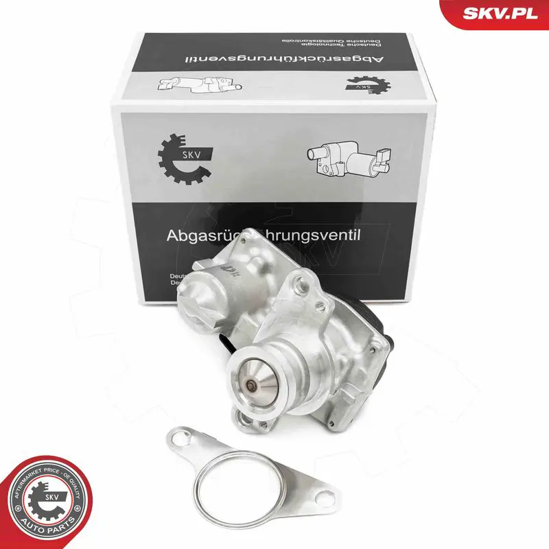 ESEN SKV 14SKV267 Клапан возврата ОГ