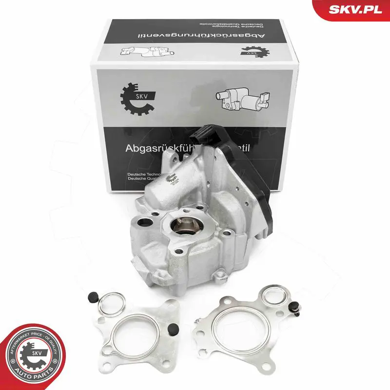 ESEN SKV 14SKV259 Клапан возврата ОГ