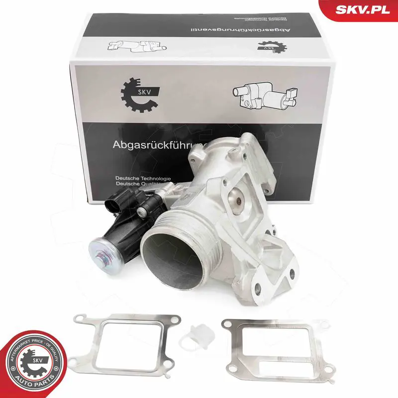 ESEN SKV 14SKV264 Клапан возврата ОГ