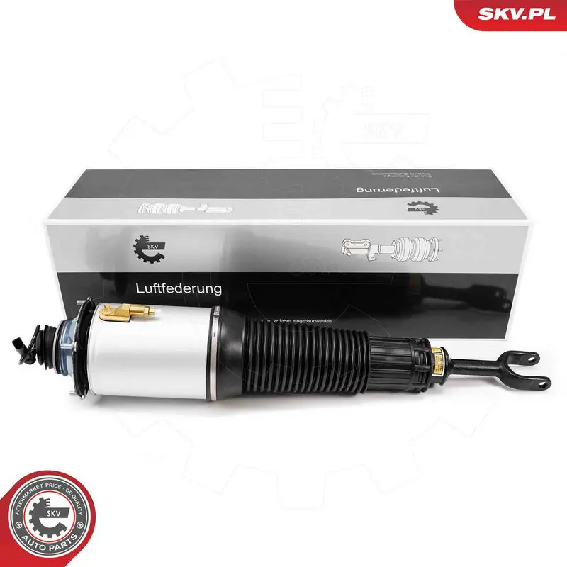 ESEN SKV 58SKV701 Опора пневматической рессоры