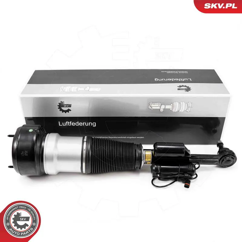 ESEN SKV 58SKV721 Опора пневматической рессоры