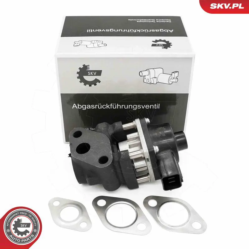 ESEN SKV 14SKV260 EGR Valve