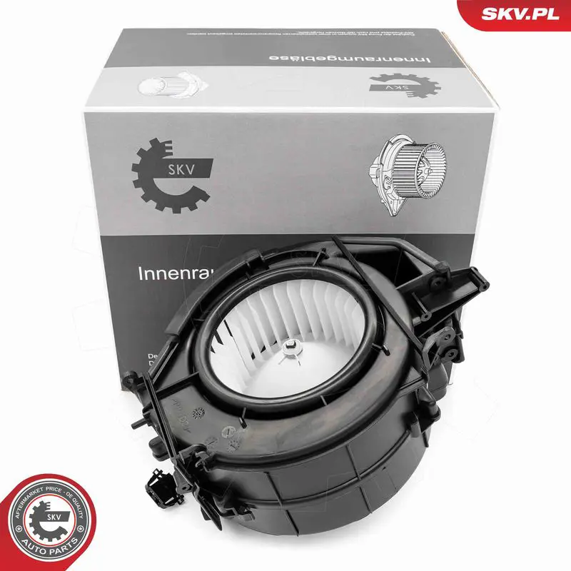 68SKV043 Interior Blower