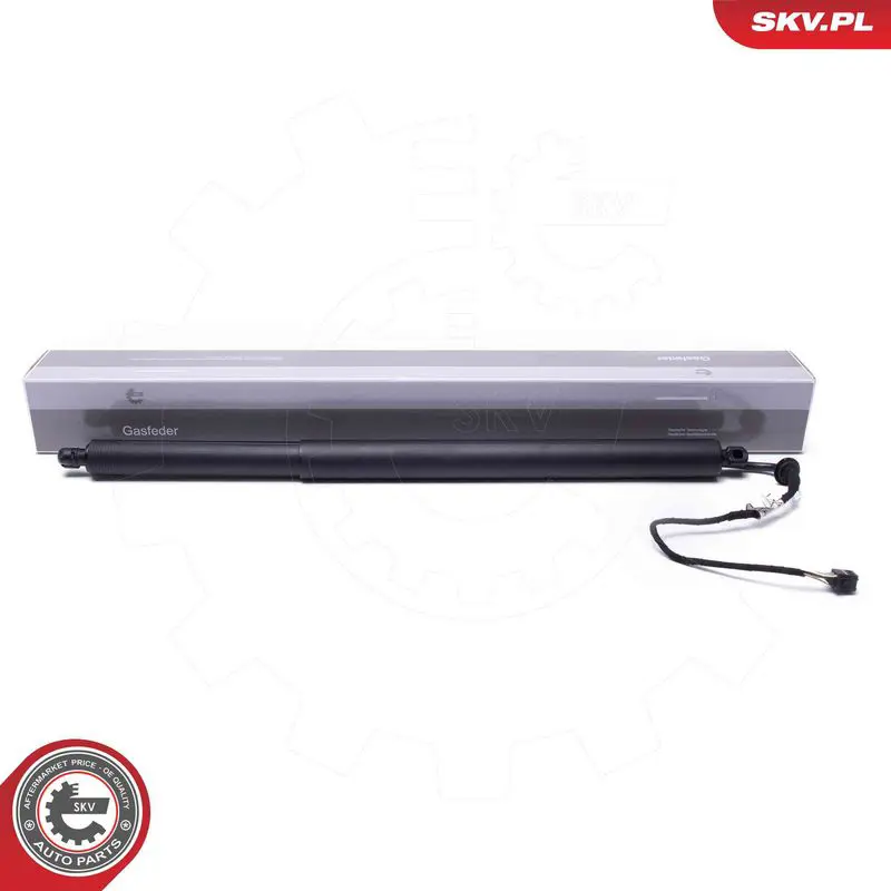 52SKV967 Электромотор, задняя дверь