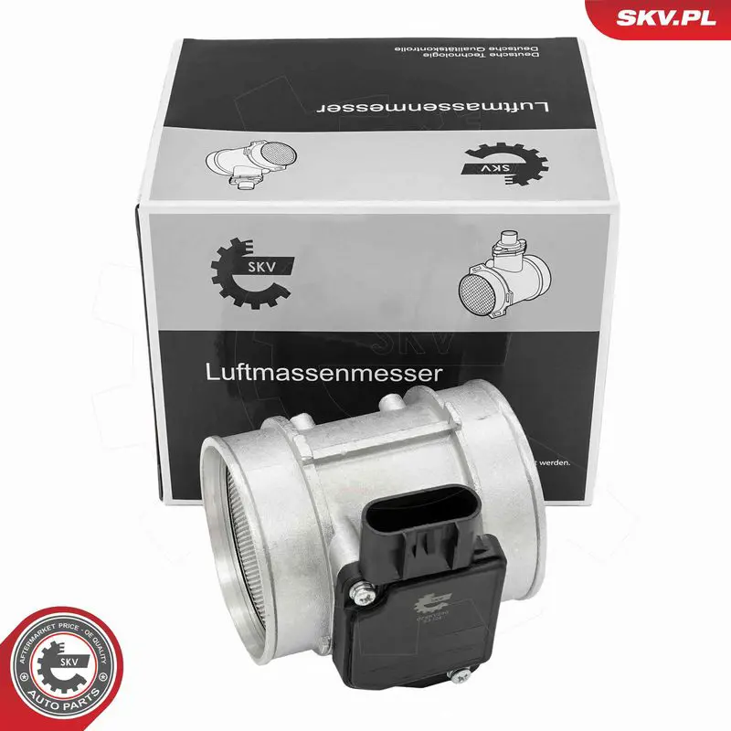 ESEN SKV 07SKV260 Расходомер воздуха