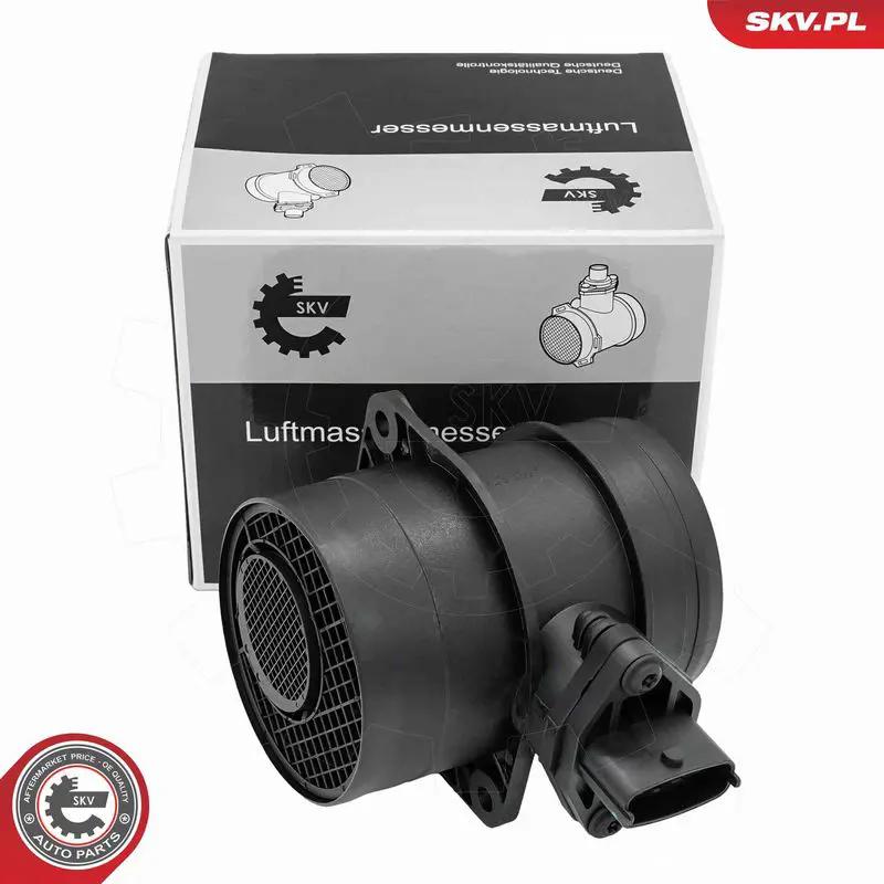 ESEN SKV 07SKV310 Расходомер воздуха