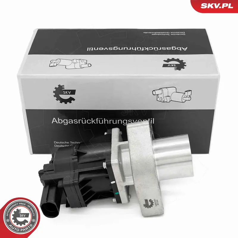 14SKV254 Клапан возврата ОГ
