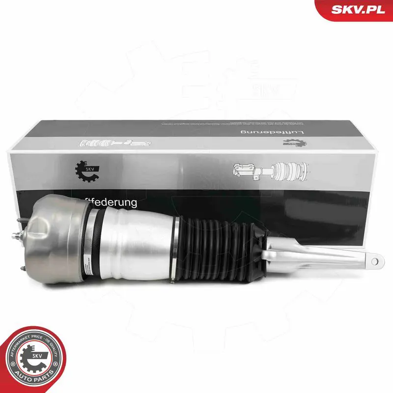 58SKV705 Air Suspension Strut