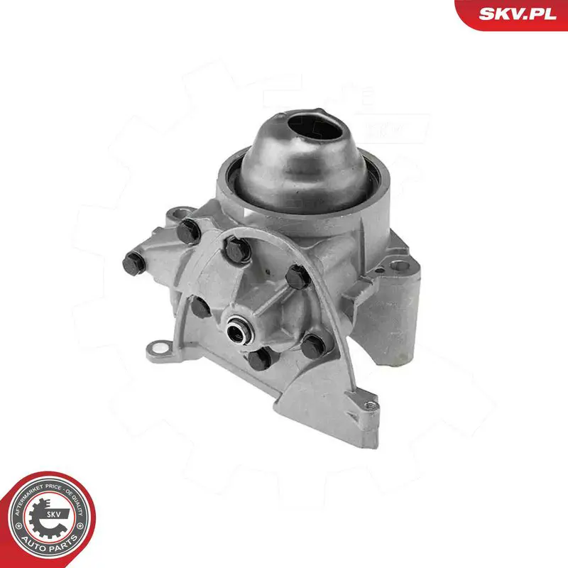ESEN SKV 77SKV050 Масляный насос