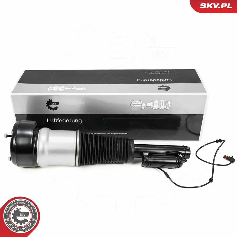 ESEN SKV 58SKV720 Опора пневматической рессоры