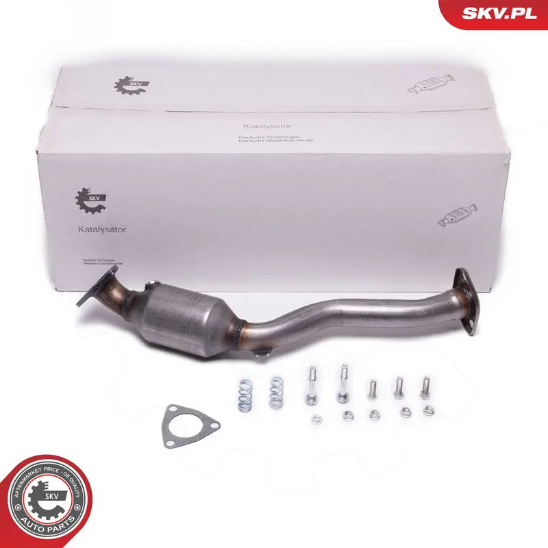ESEN SKV 62SKV020 Катализатор, универсальный