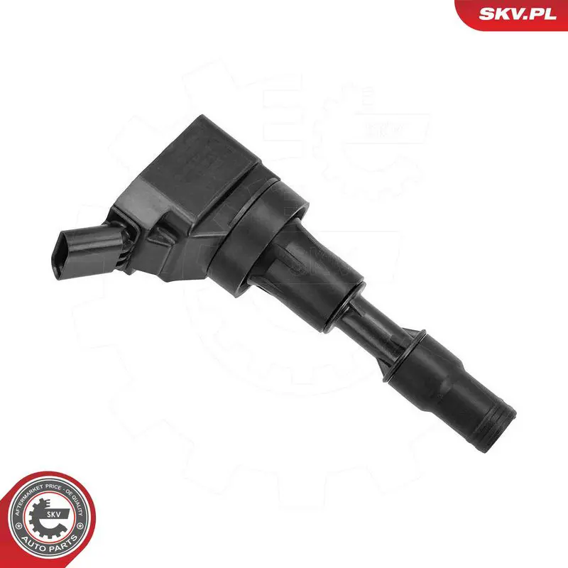 ESEN SKV 03SKV354 Ignition Coil