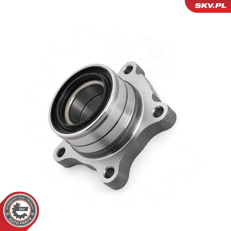 ESEN SKV 29SKV719 Wheel Bearing Kit
