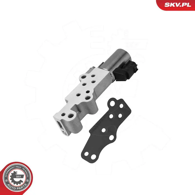 ESEN SKV 39SKV096 Control Valve, camshaft
