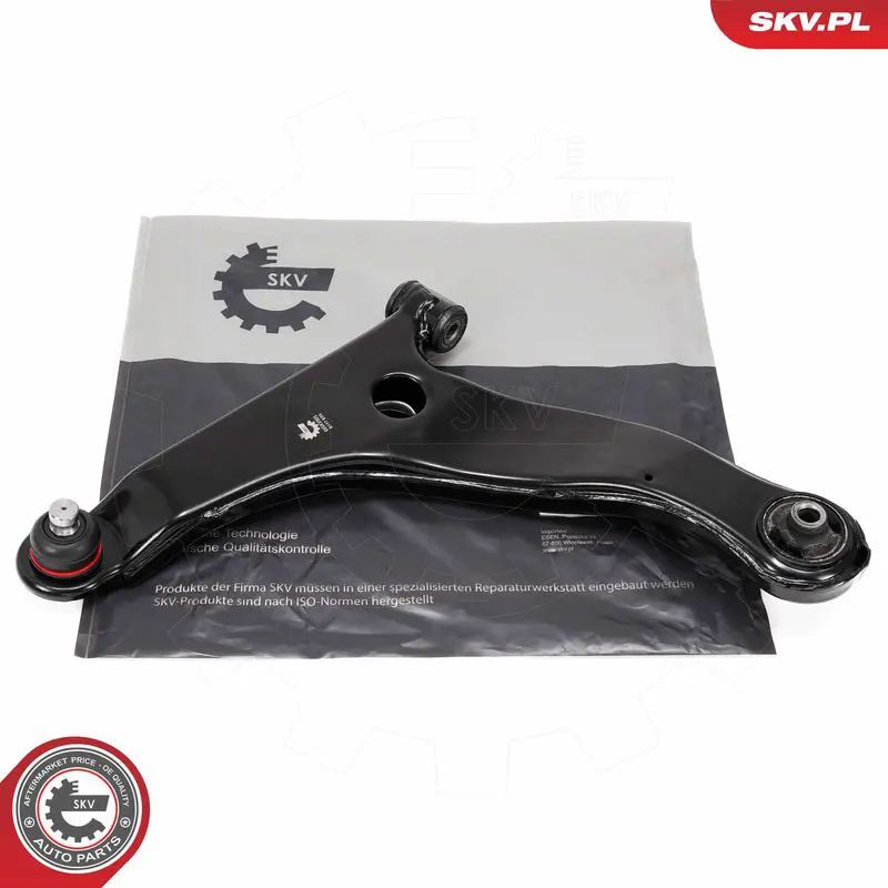 69SKV005 