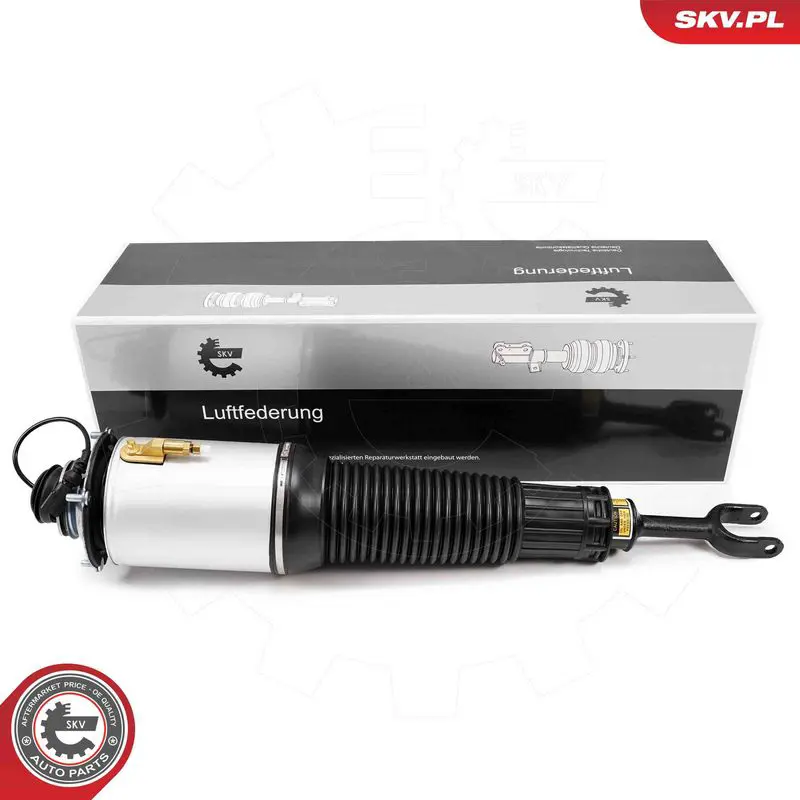ESEN SKV 58SKV700 Опора пневматической рессоры