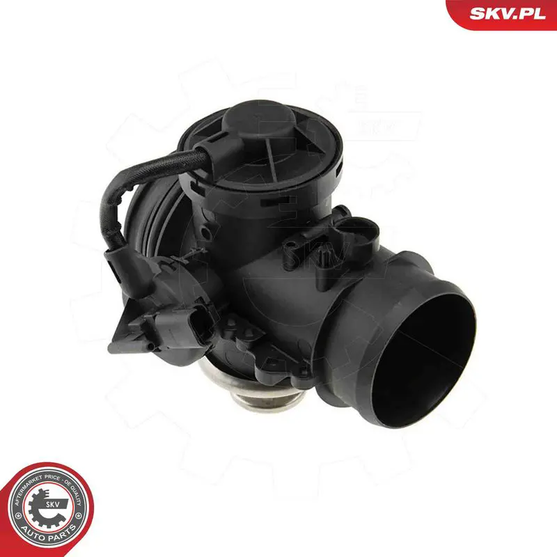 ESEN SKV 14SKV295 EGR Valve