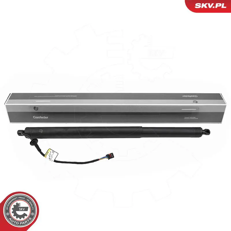ESEN SKV 52SKV190 Electric Motor, tailgate
