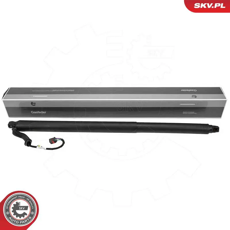 ESEN SKV 52SKV202 Electric Motor, tailgate