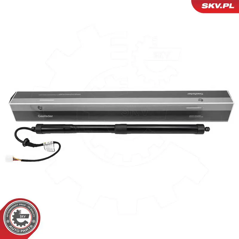 ESEN SKV 52SKV215 Electric Motor, tailgate