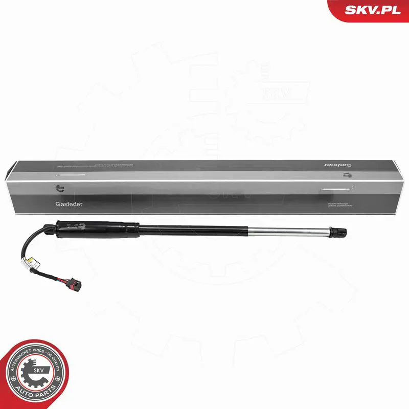 ESEN SKV 52SKV291 Electric Motor, tailgate