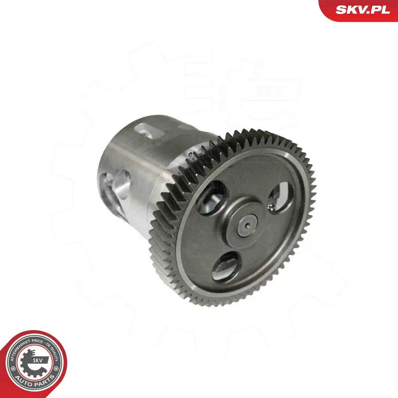 ESEN SKV 77SKV041 Oil Pump