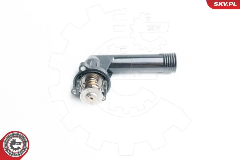 ESEN SKV 20SKV022 Термостат, охлаждающая